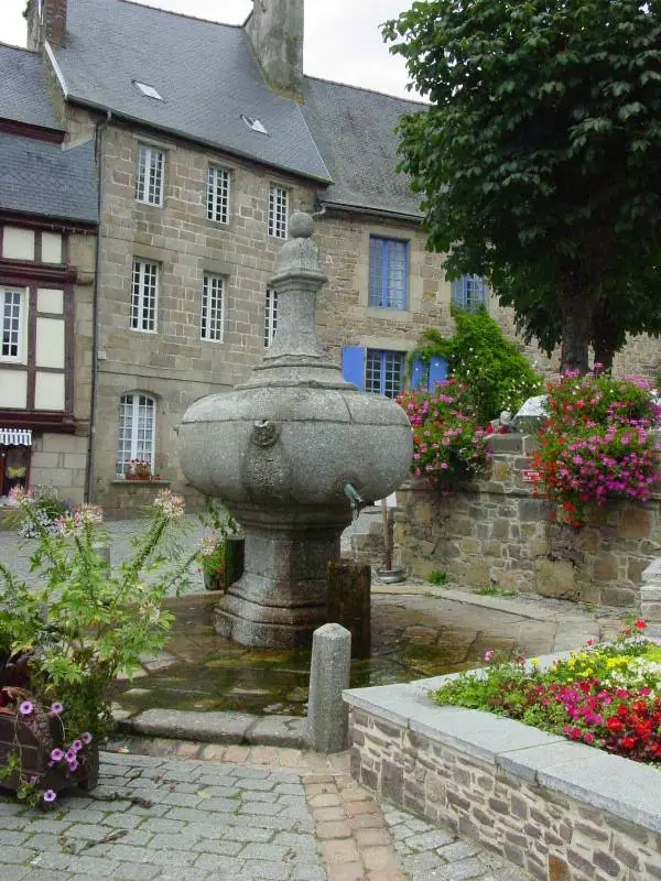 La fontaine fleurie du village