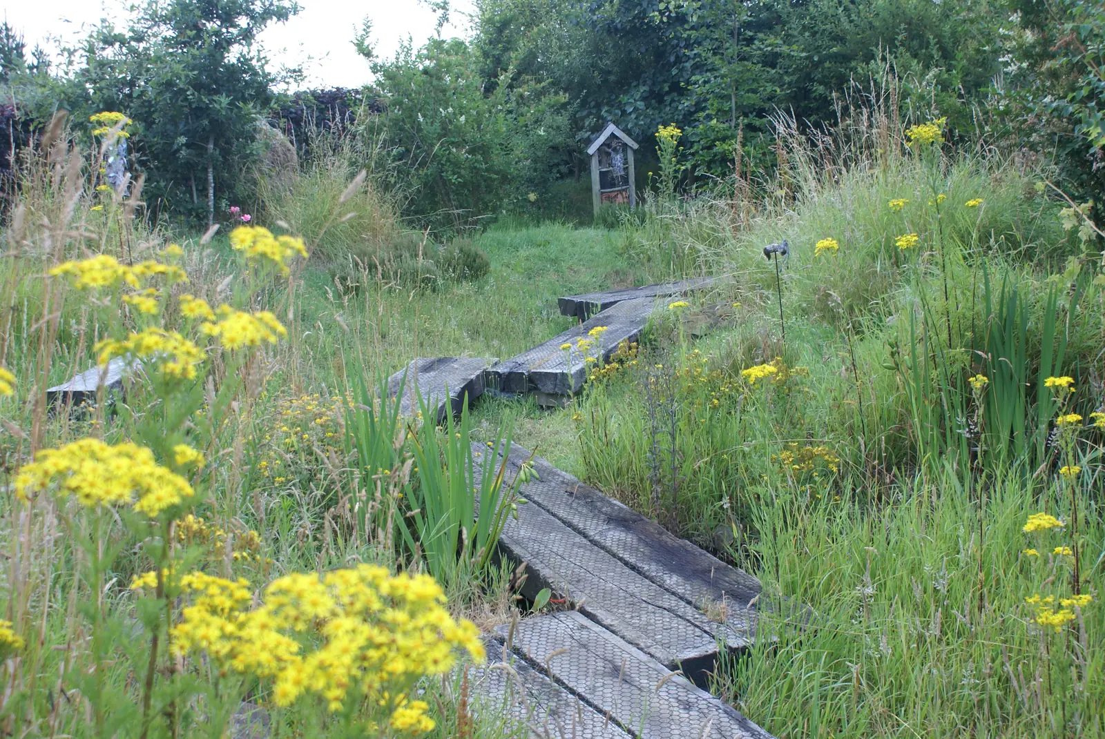Passerelle en bois entre les herbes hautes et les fleurs jaunes du jardin sauvage
